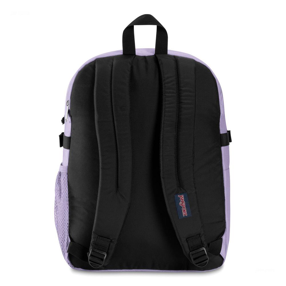 Sac à Dos Ordinateur JanSport Main Campus Violette | VEE-92216010